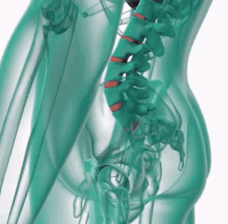 1761583012599820.gif 1761583012599820.gif